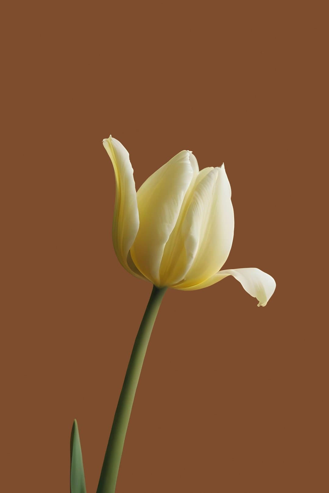 http://n.sinaimg.cn/news/transform/w600h400/20180307/xbZe-fxipenp2871832.jpg?zdy