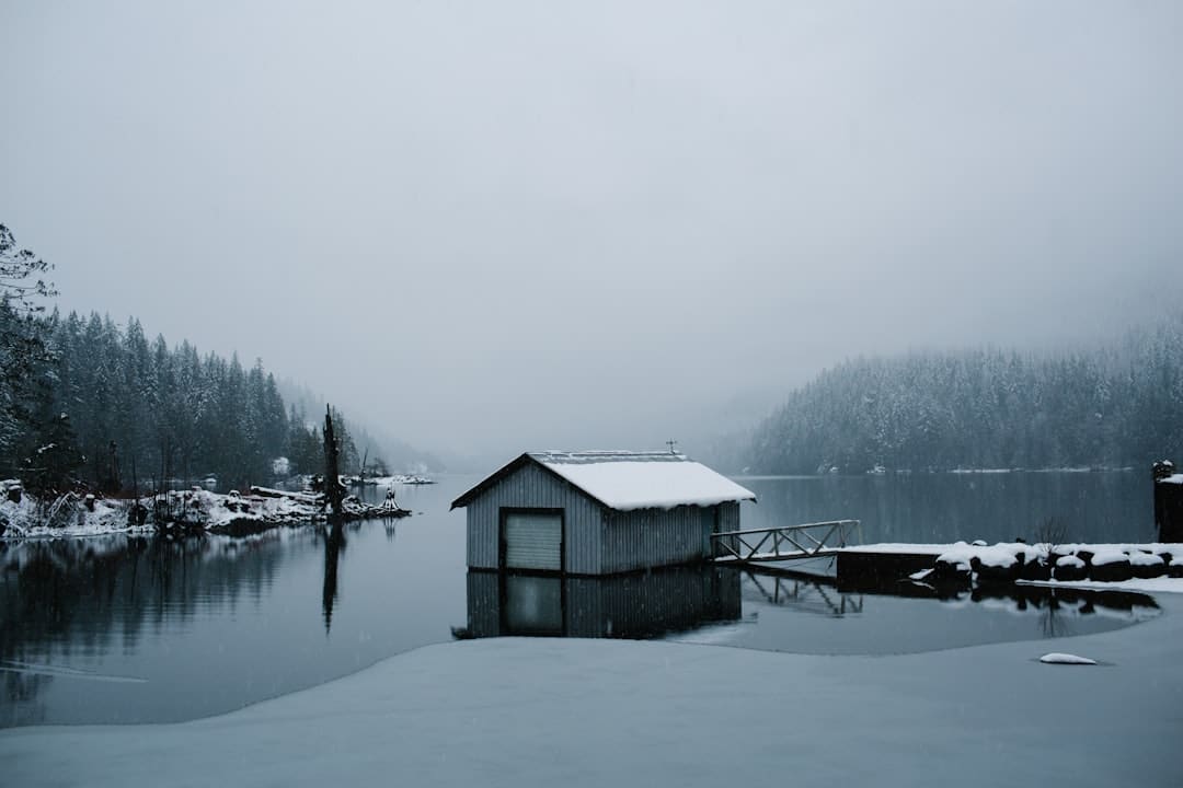 https://img3.utuku.imgcdc.com/650x0/news/20250903/8c304c44-6795-400e-af10-76825ce67b45.jpg